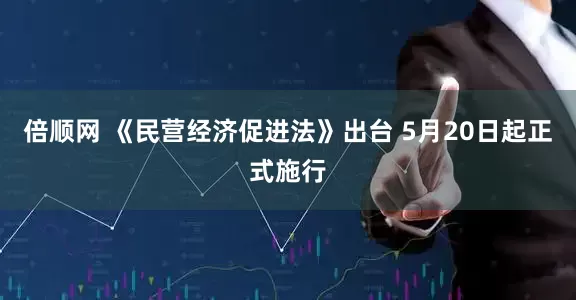 倍顺网 《民营经济促进法》出台 5月20日起正式施行