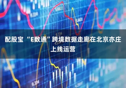 配股宝 “E数通”跨境数据走廊在北京亦庄上线运营