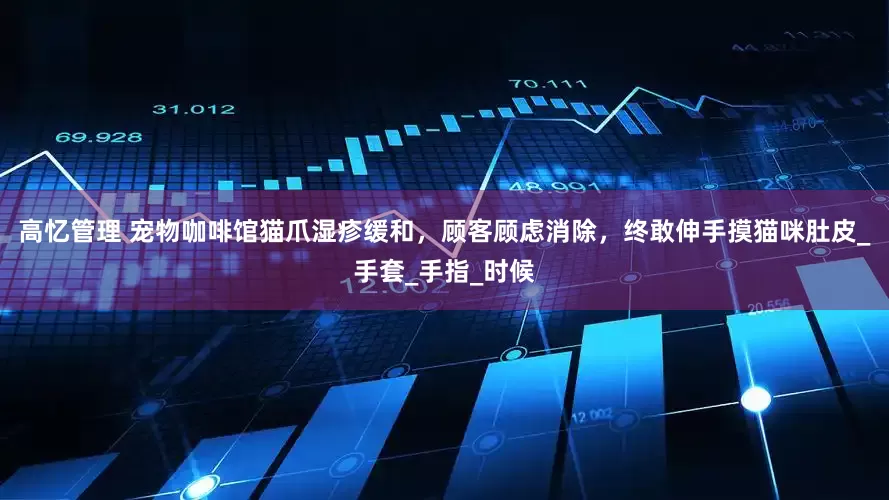 高忆管理 宠物咖啡馆猫爪湿疹缓和，顾客顾虑消除，终敢伸手摸猫咪肚皮_手套_手指_时候